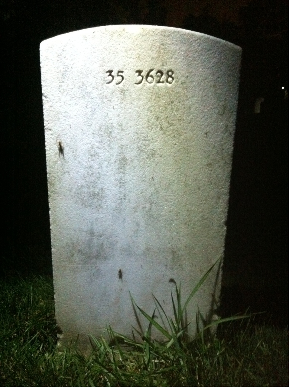 Back of headstone — Leonard Amideo