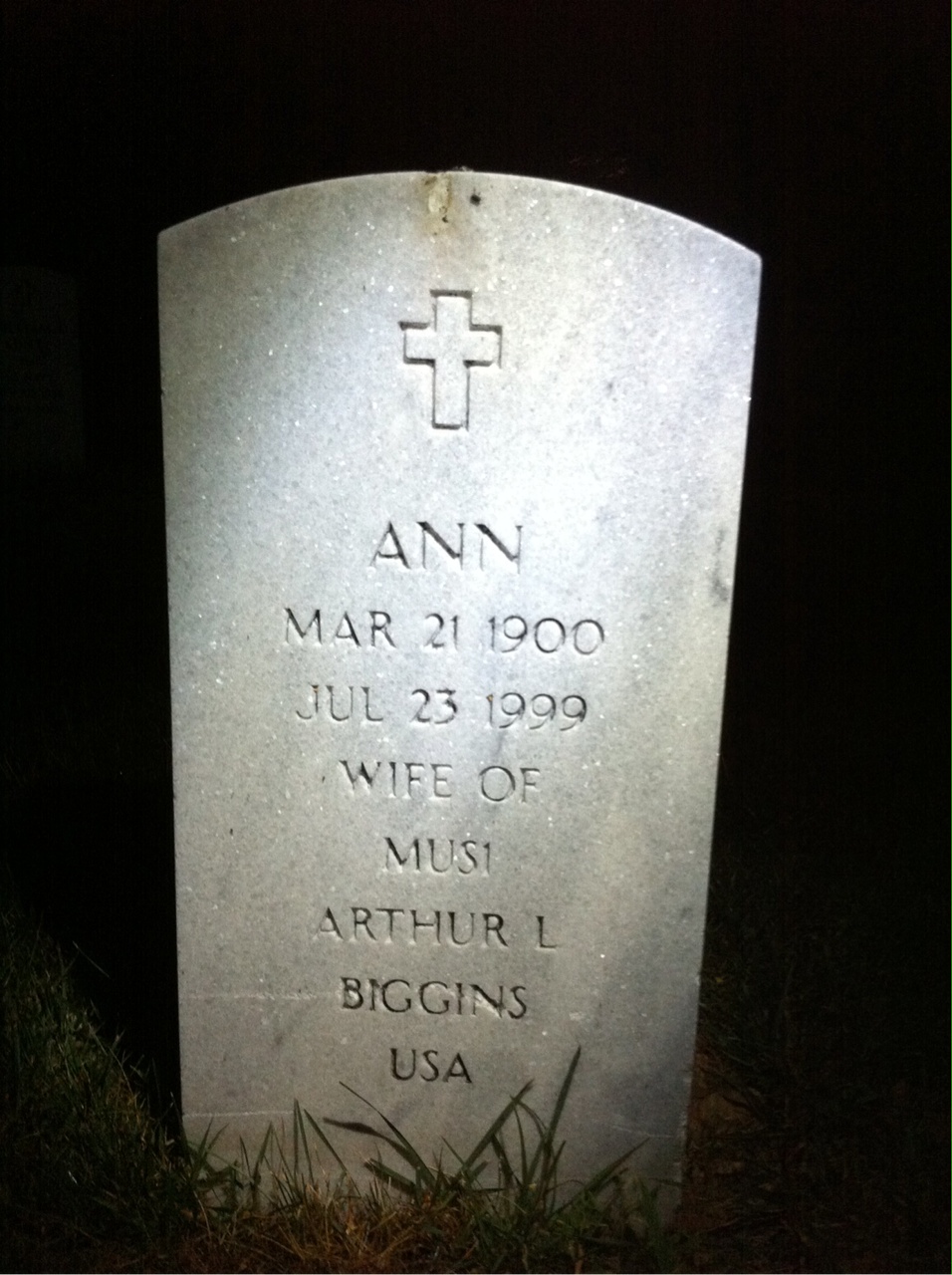 Ann Biggins