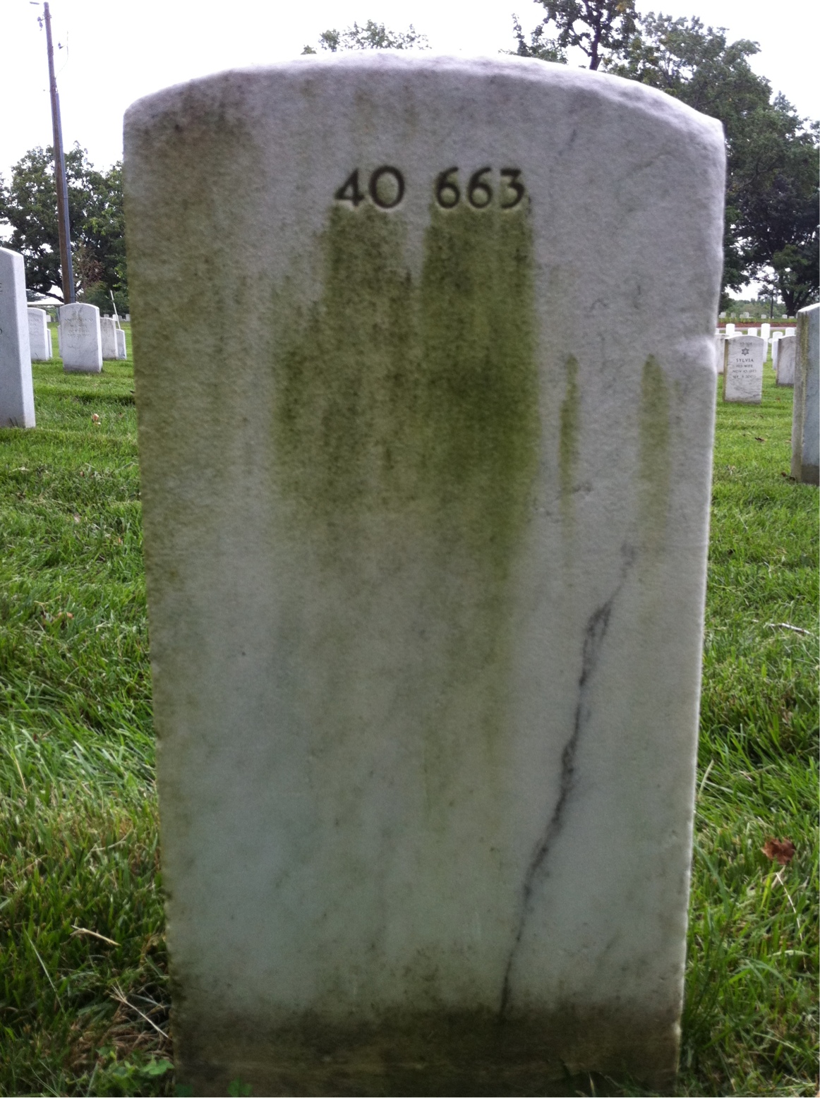 Back of headstone — Albert H Risner