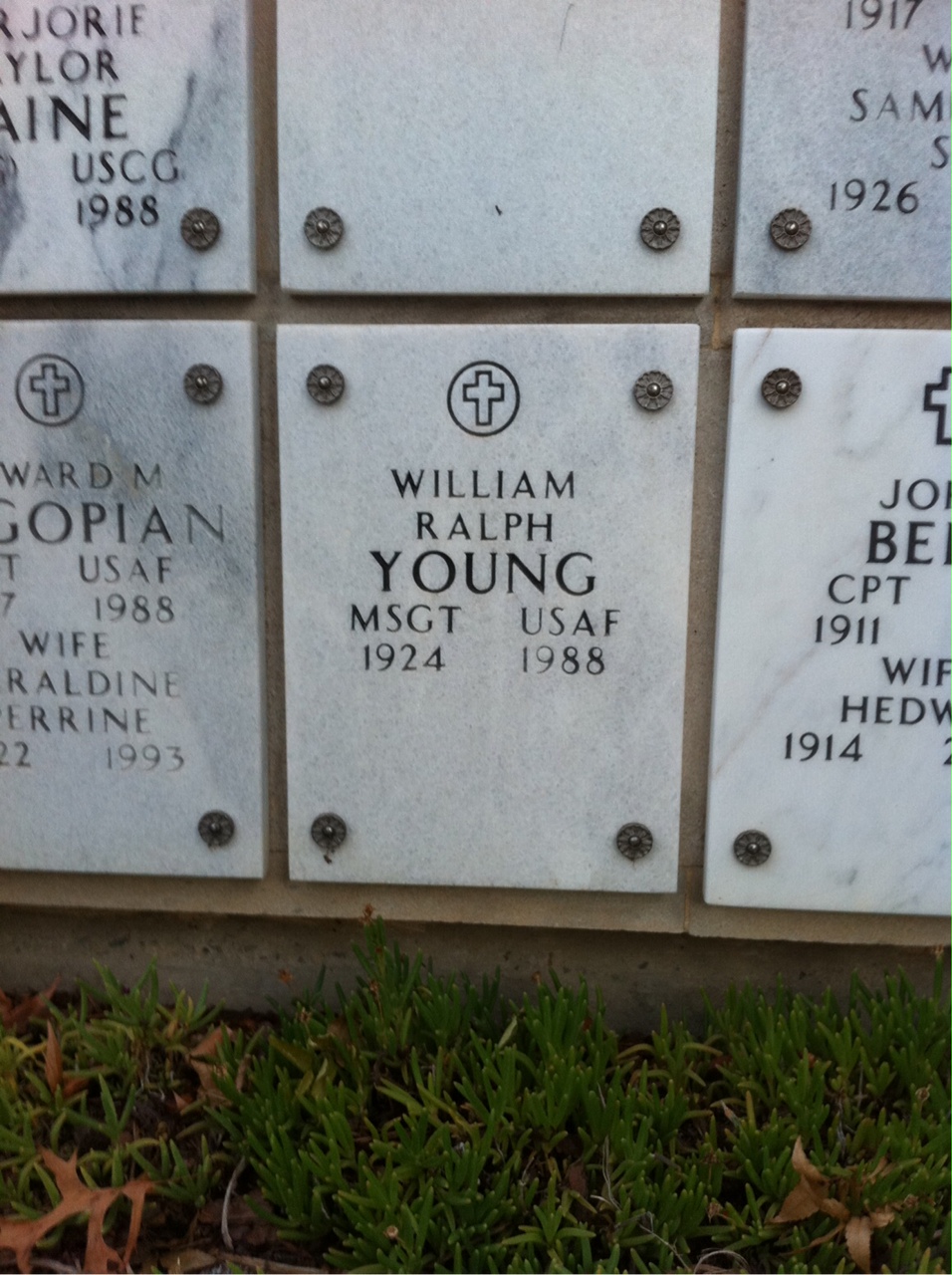 William Y Young