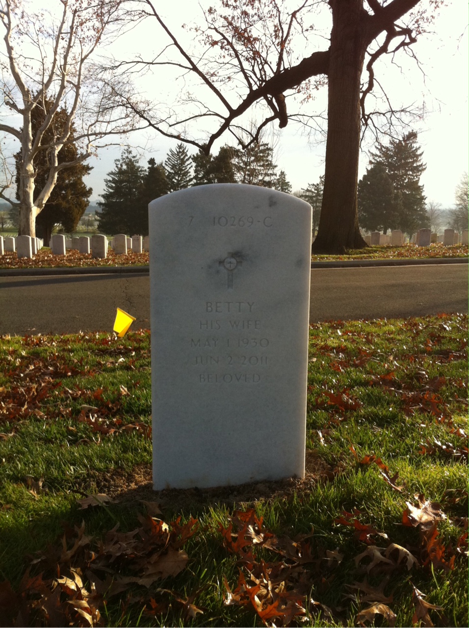 Back of headstone — John Charles Rubins