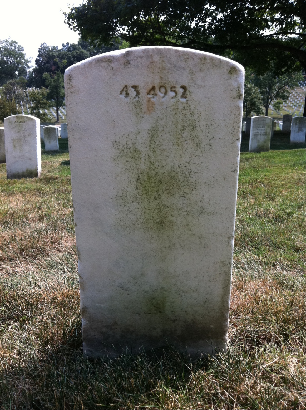 Back of headstone — Frank Mitchell