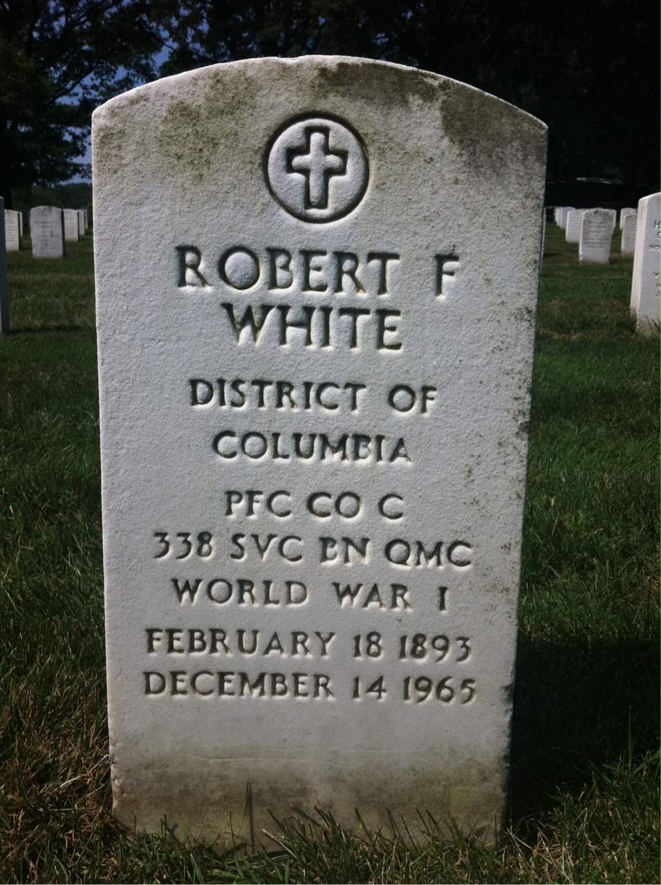 Robert M White