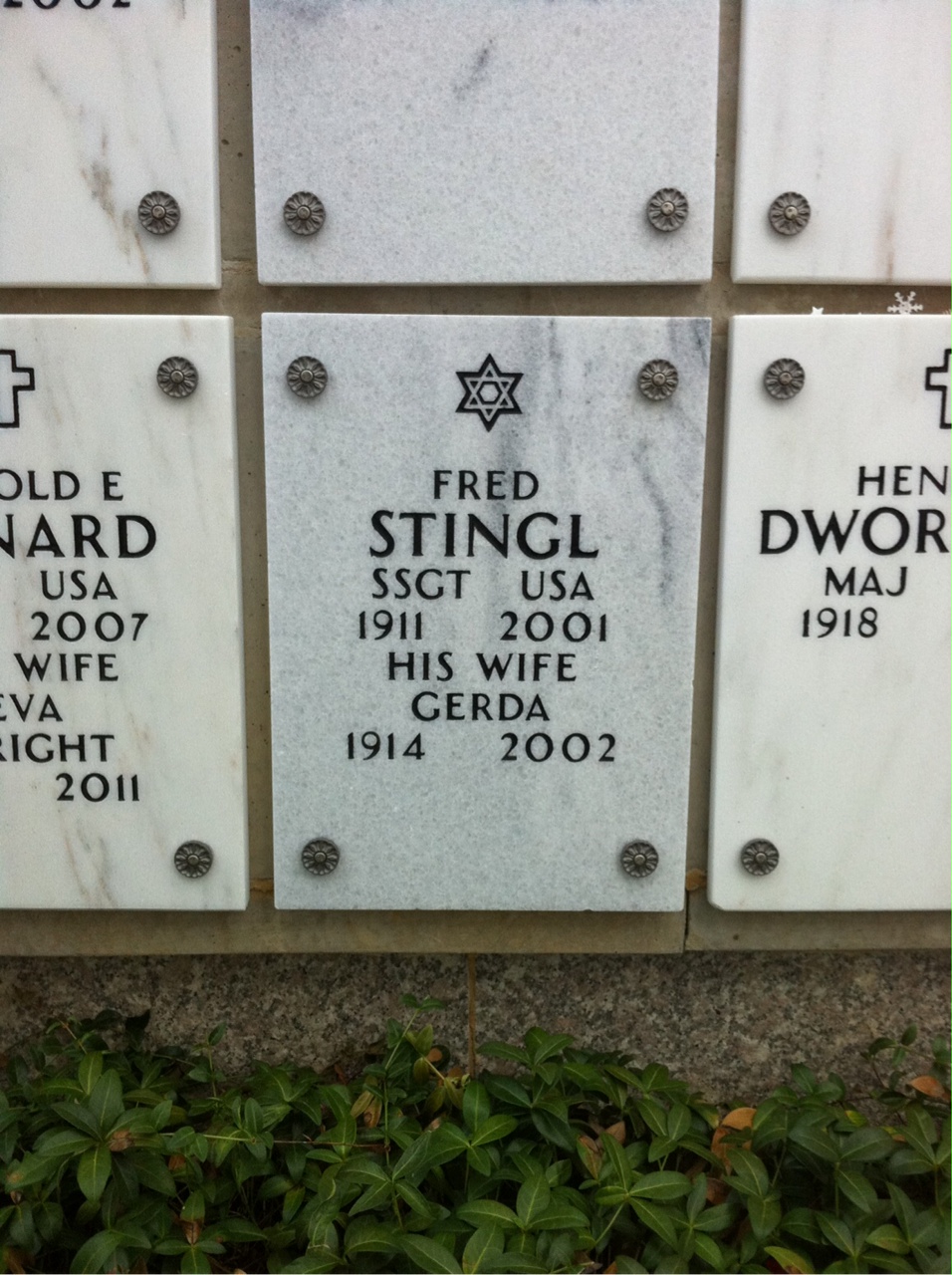 Fred Stingl