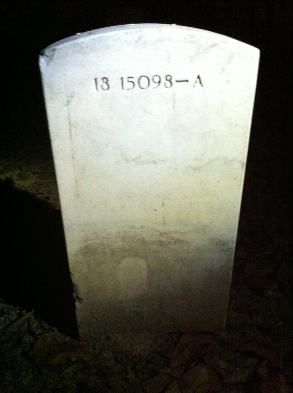 Back of headstone — Wilson Howard Simms