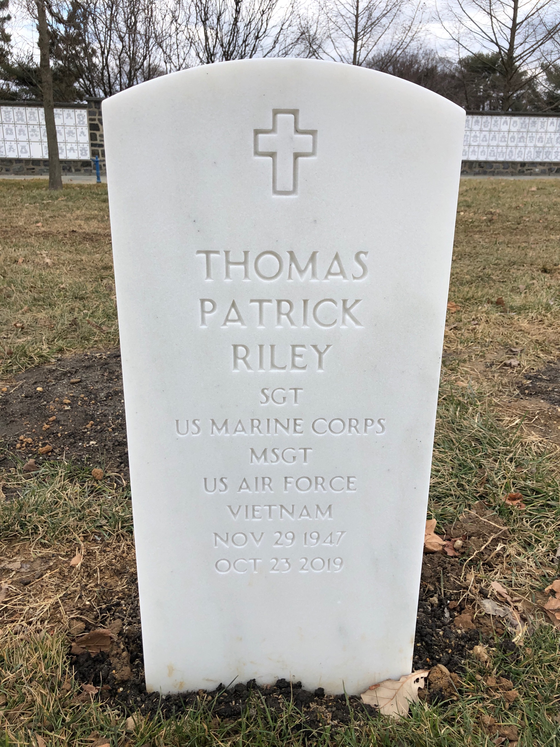 Thomas P Riley