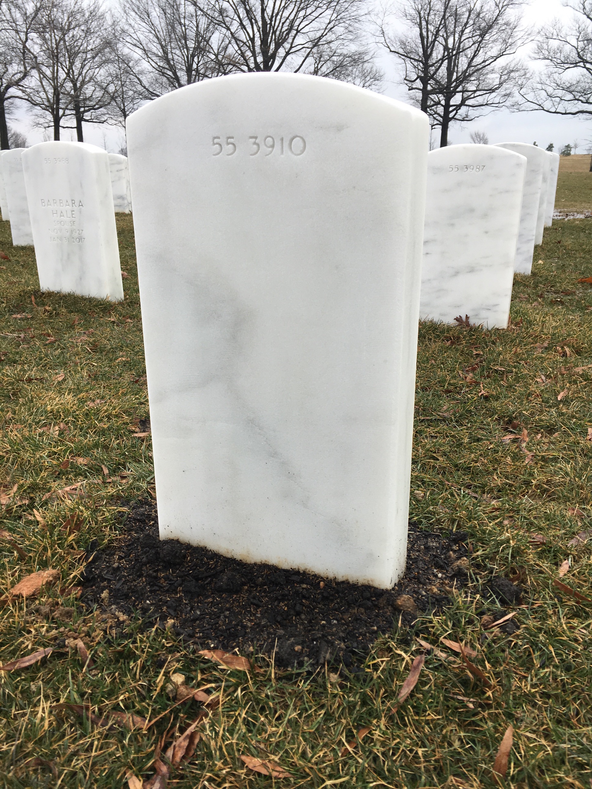 Back of headstone — William David Turnbull