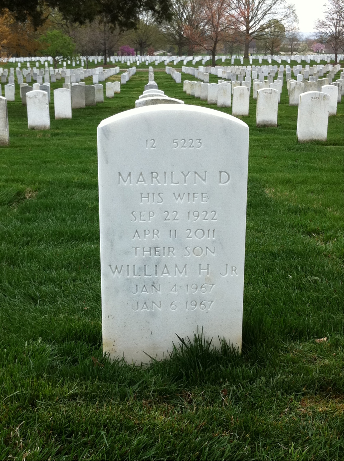 Back of headstone — William Ellis