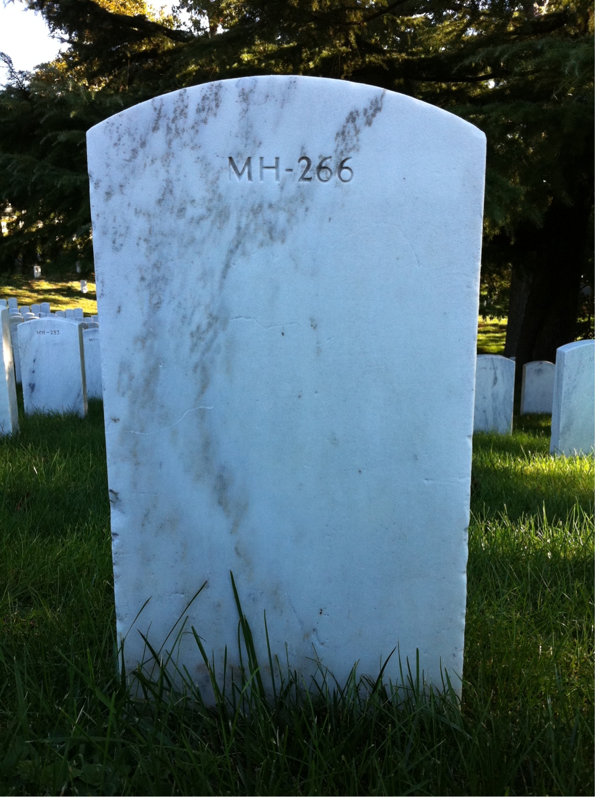 Back of headstone — Philip Breitling