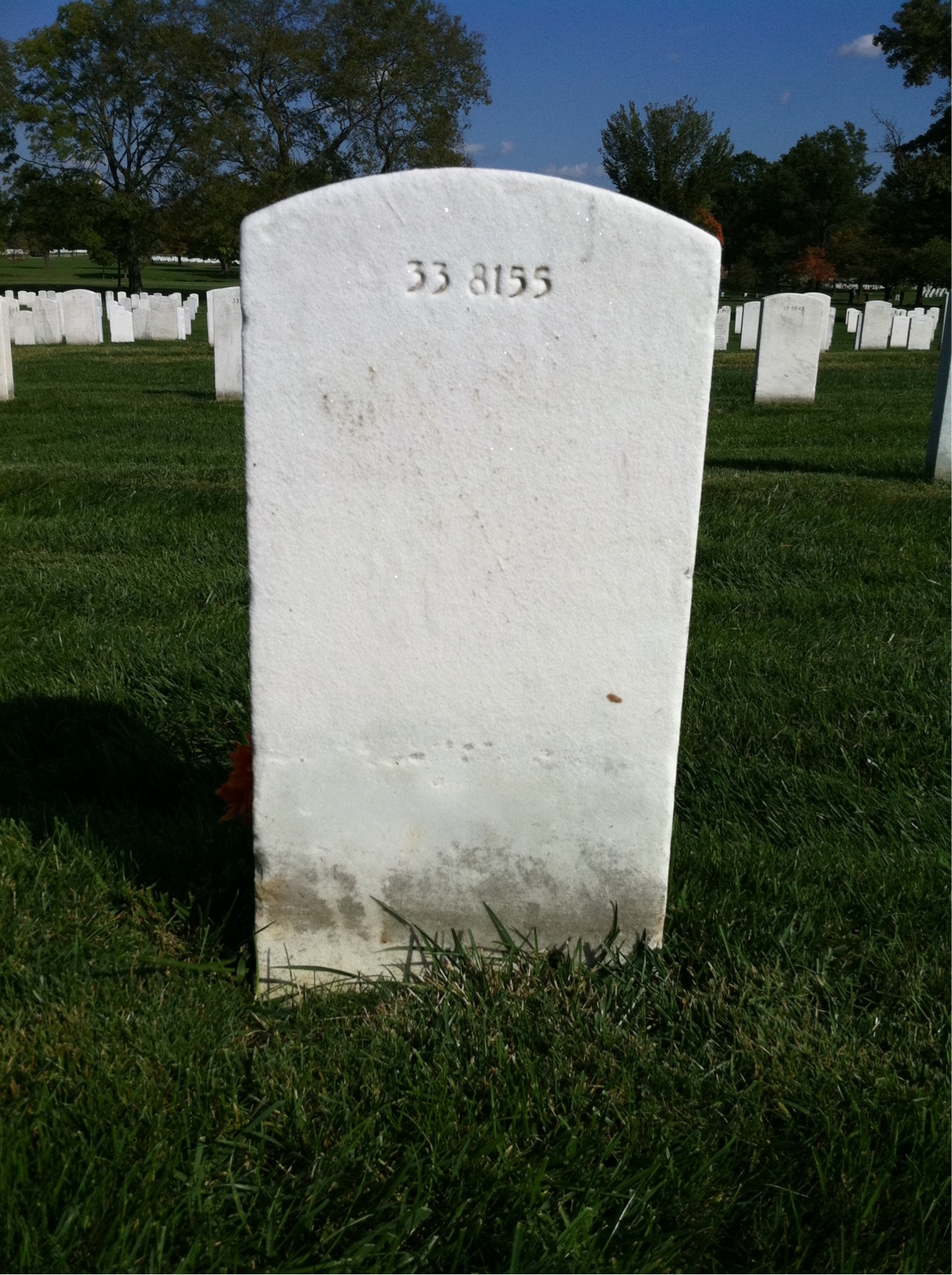Back of headstone — Truman Wilcox