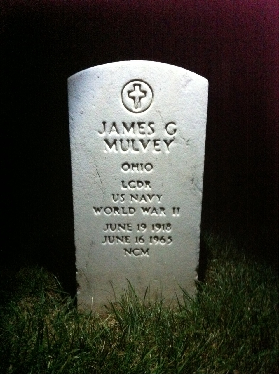 James Mulvey