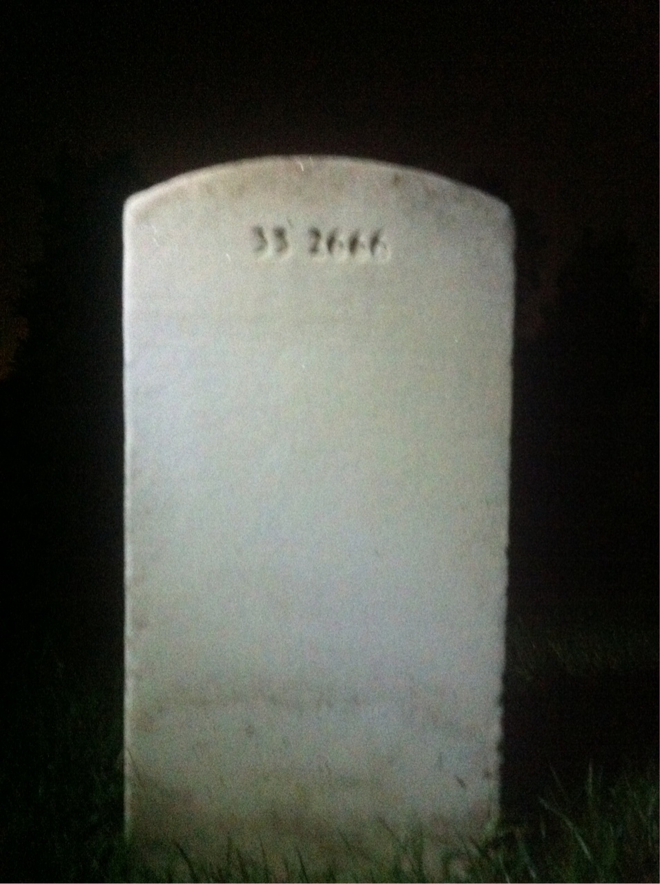 Back of headstone — Frank Boggins