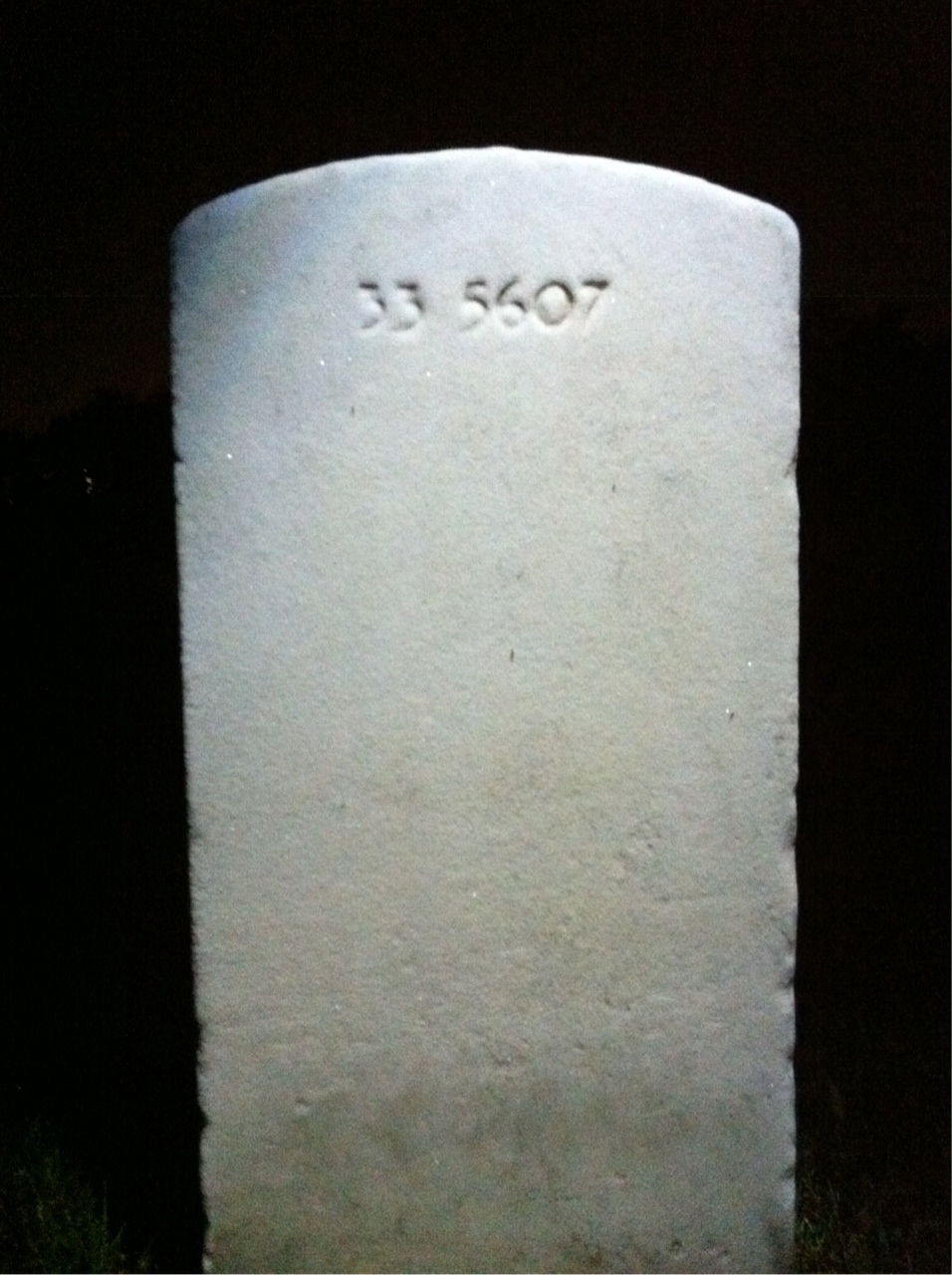 Back of headstone — Mary Aldrich