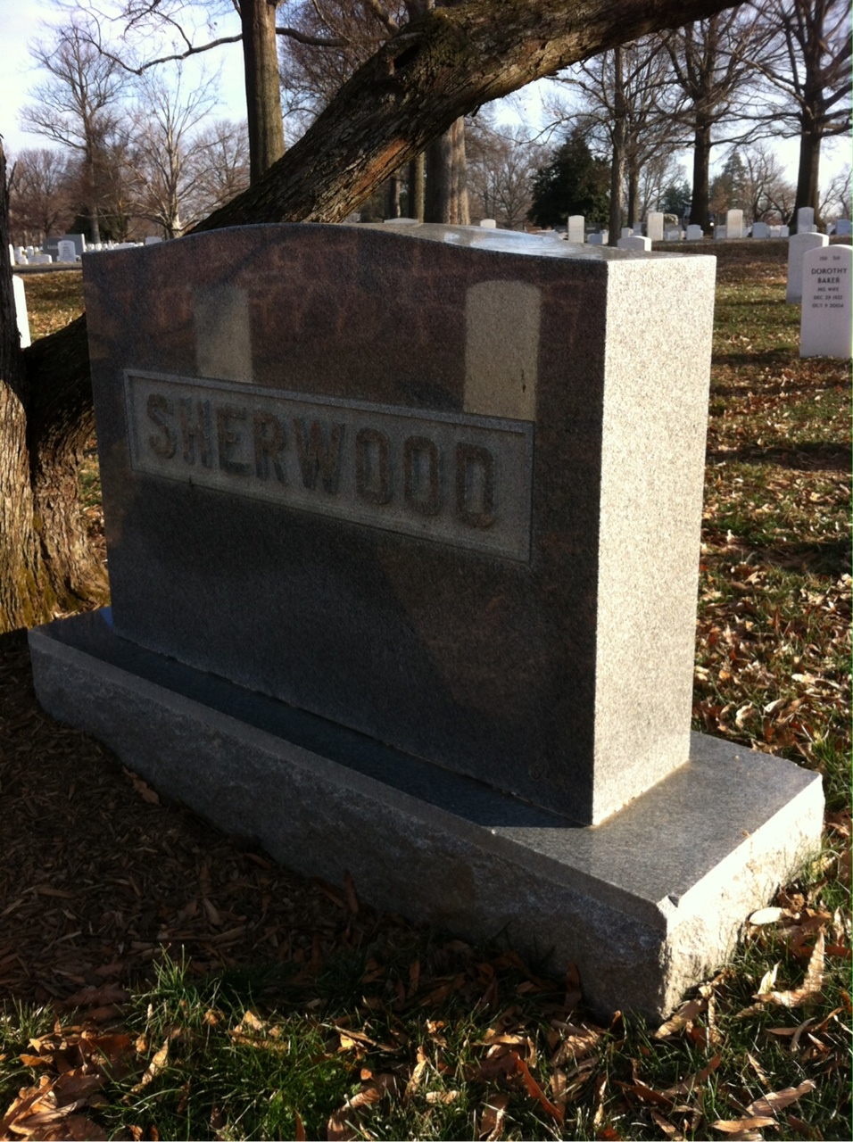 Back of headstone — William Lewis Sherwood