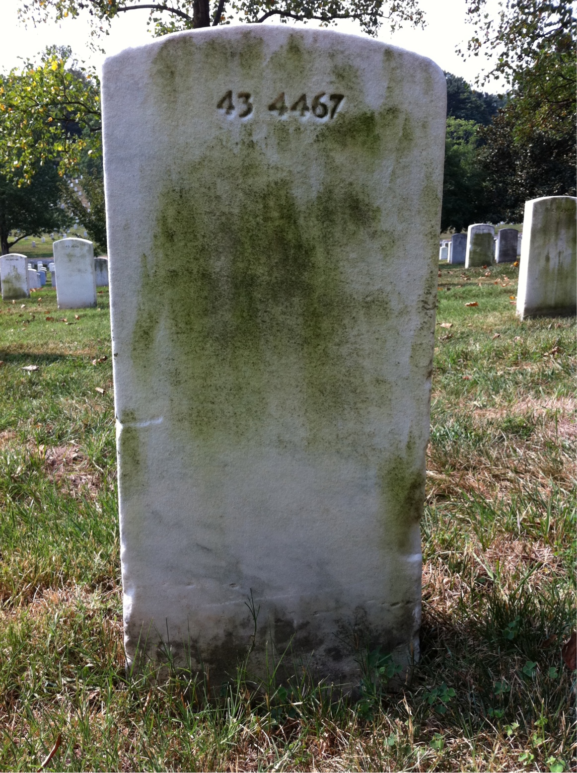 Back of headstone — Theodore Moore