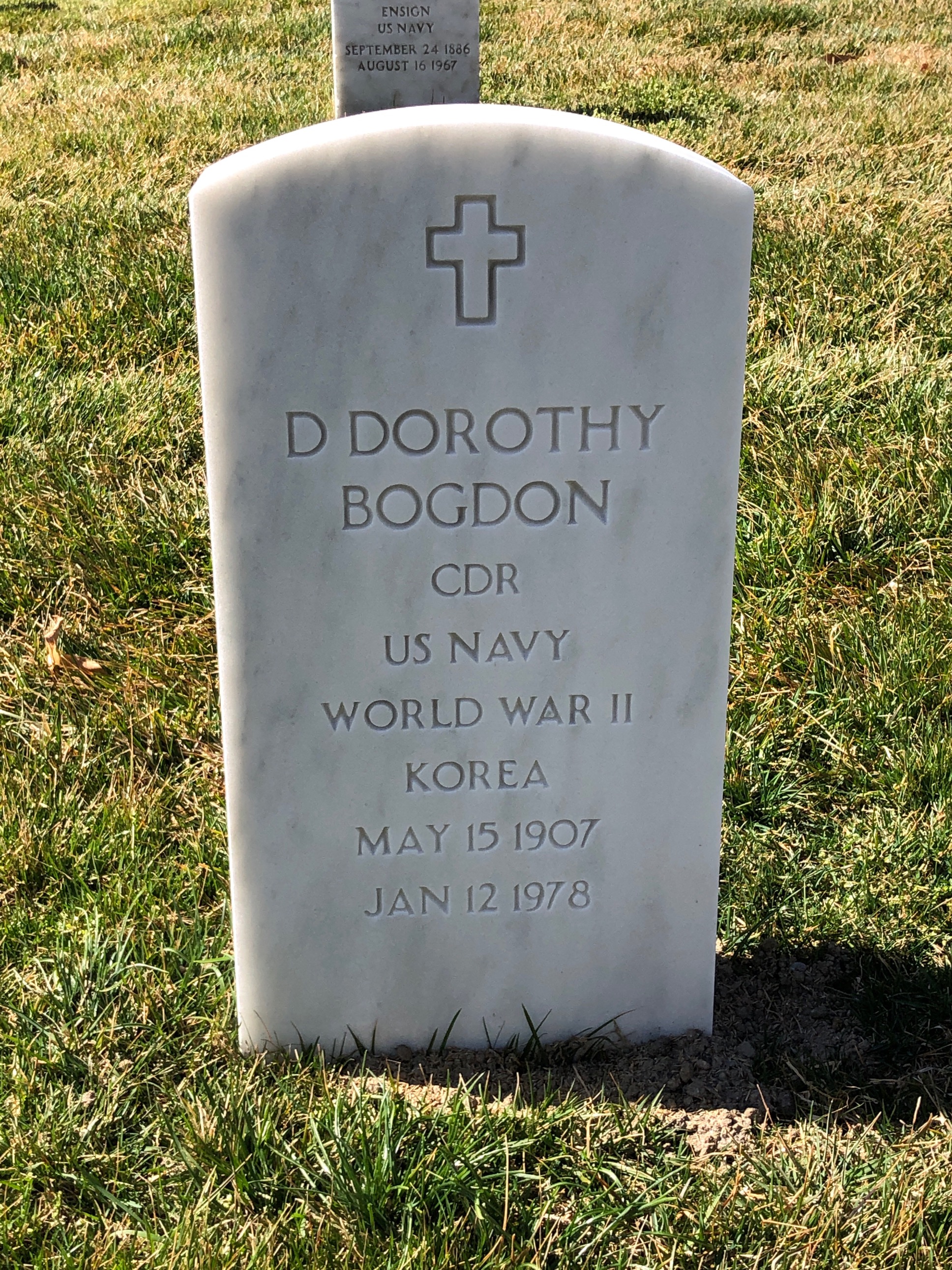 D Bogdon