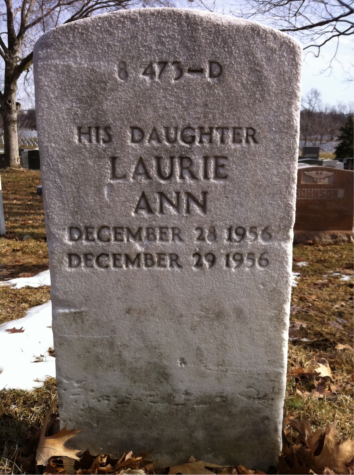Back of headstone — Anthony Mcdonald Wynn