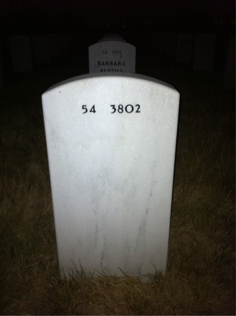 Back of headstone — Willie Dale