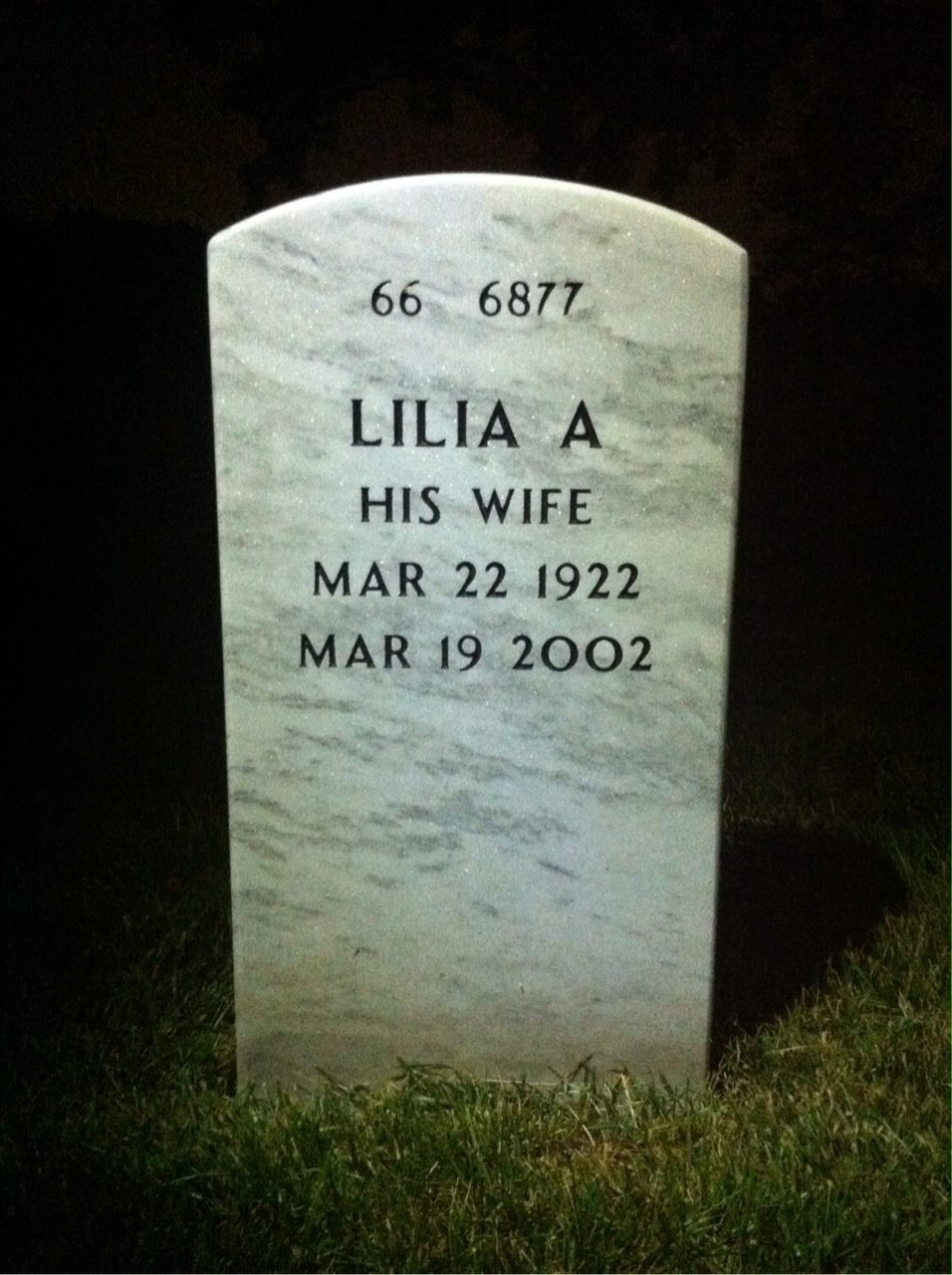 Back of headstone — David Mueller