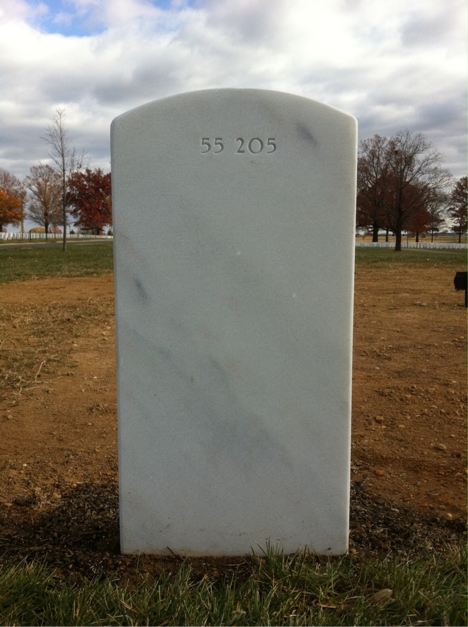 Back of headstone — Tanza Alfred