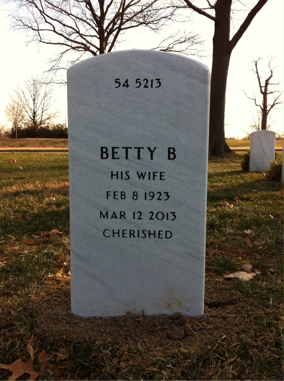 Back of headstone — William Meng