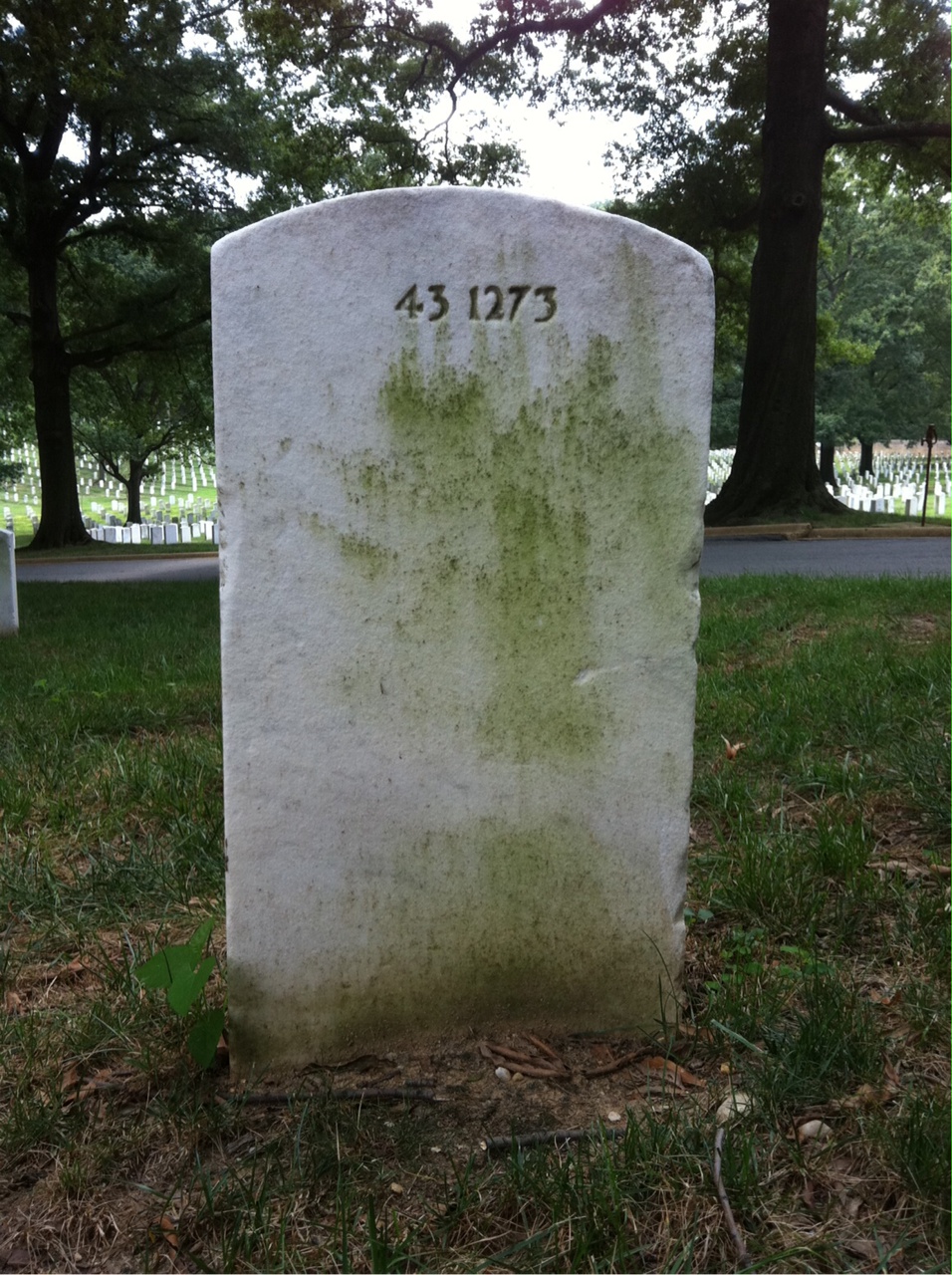 Back of headstone — William F Pearson