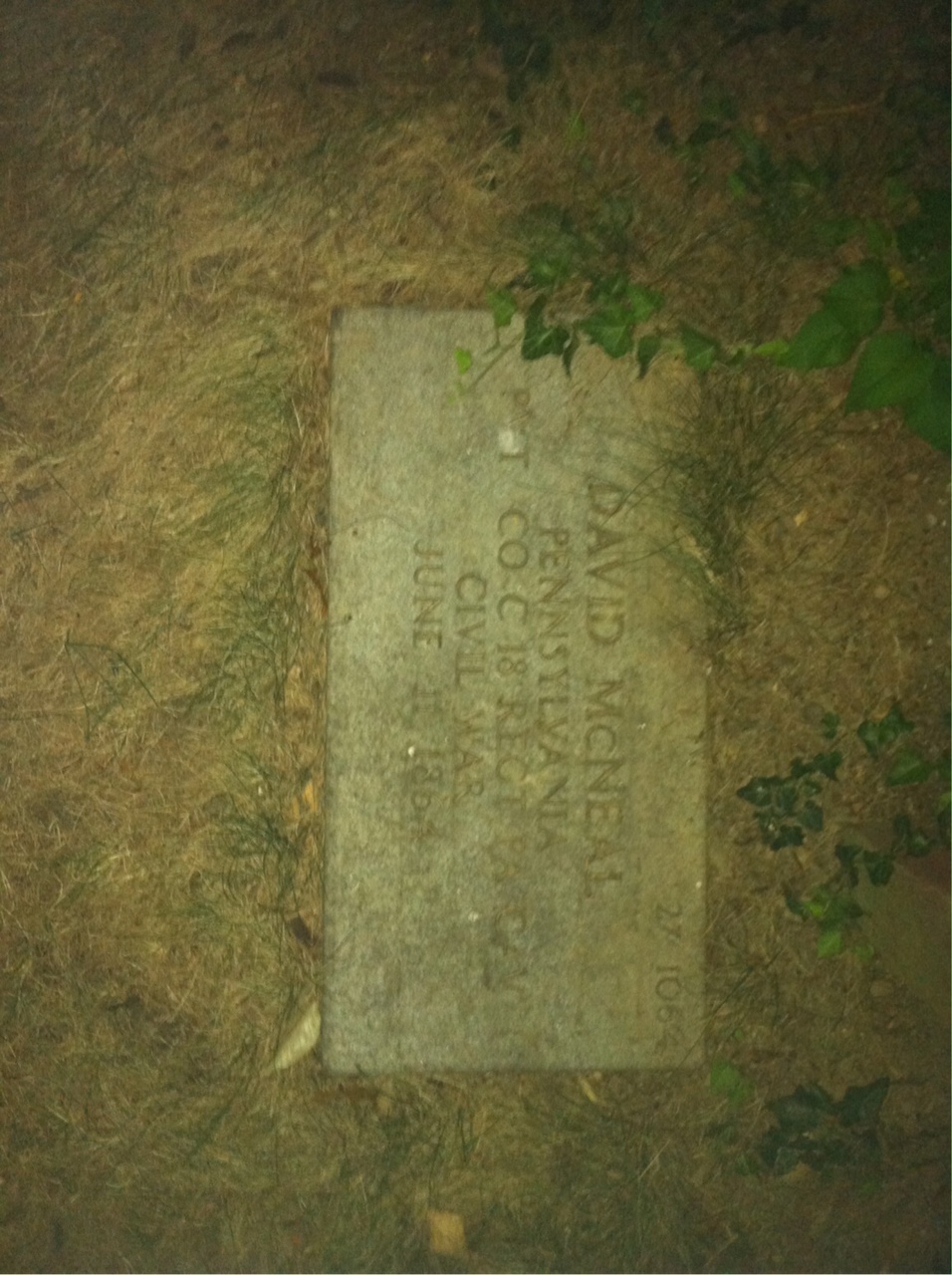 Back of headstone — David Mcneal