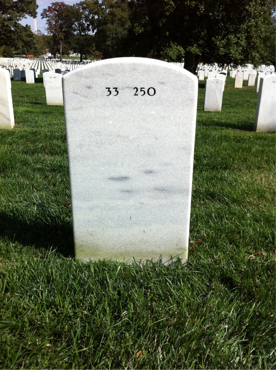 Back of headstone — William Quinn