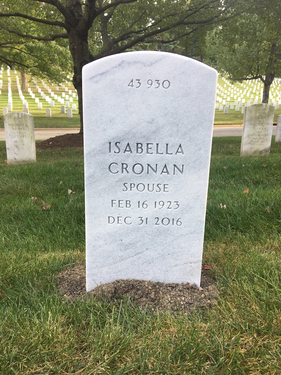 Back of headstone — Sydney Molansky