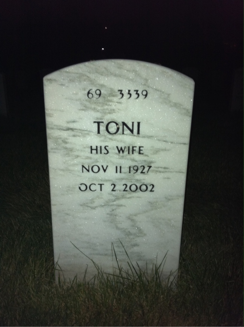 Headstone shared by 2 interments, including Alvin Phillip Tronnes