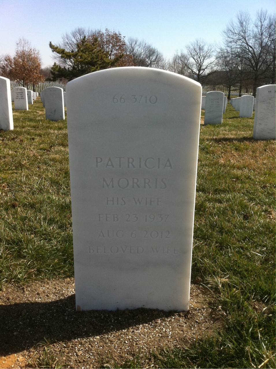 Back of headstone — Robert Peloquin