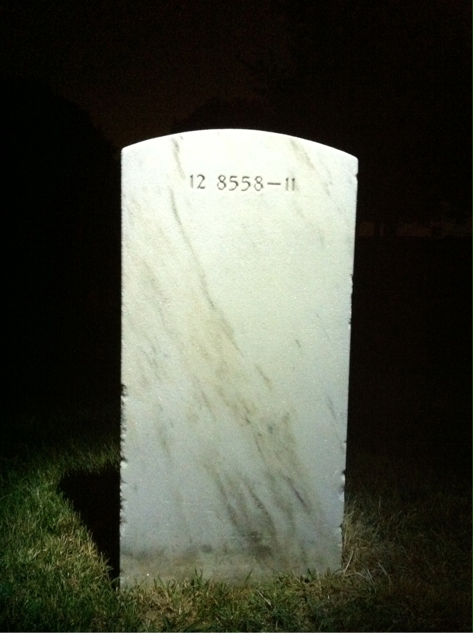 Back of headstone — Albert Douglas Wise