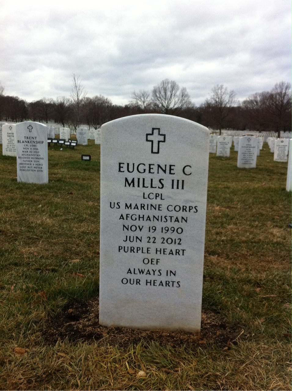 Eugene Mills