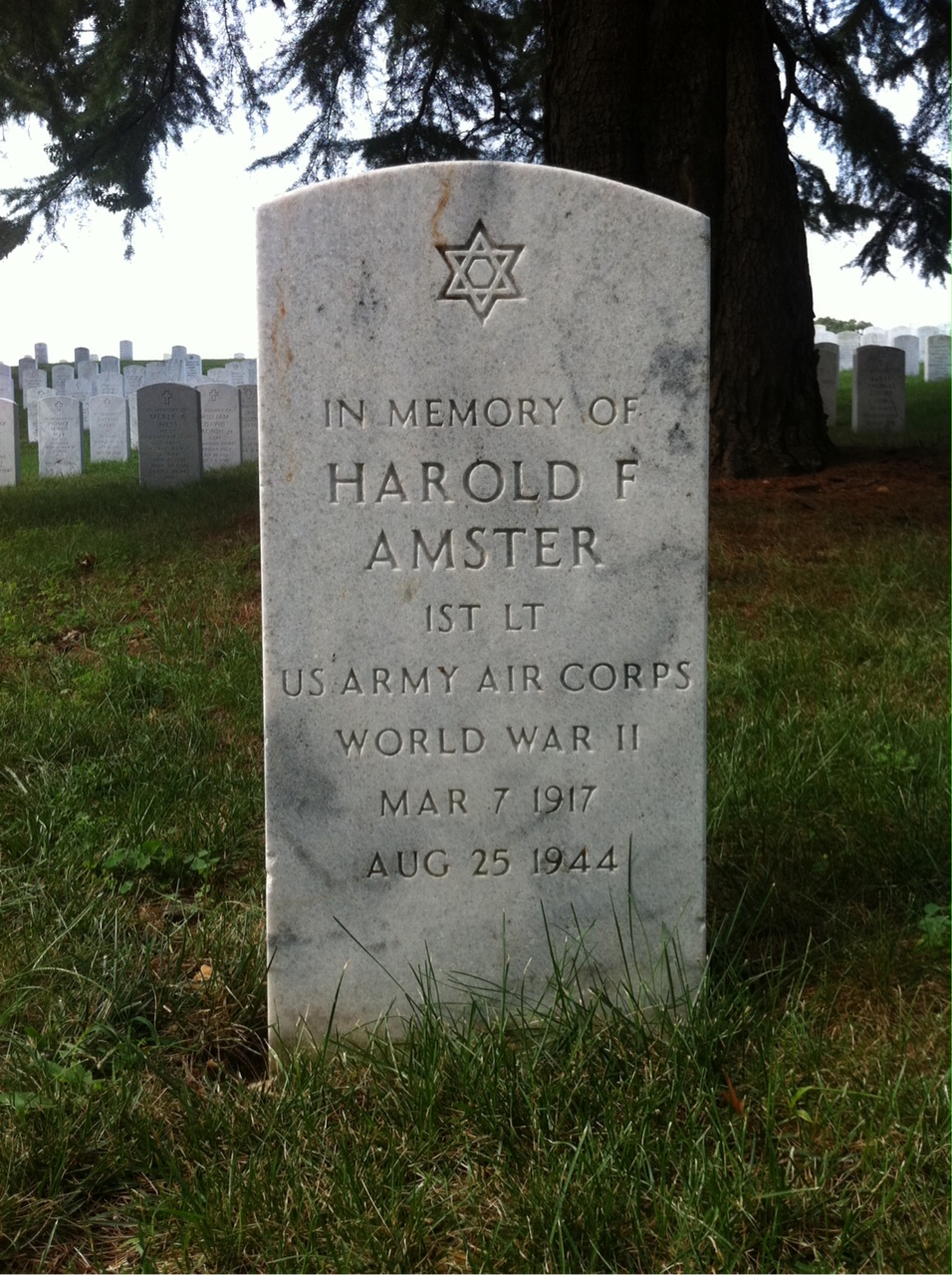 Harold Amster