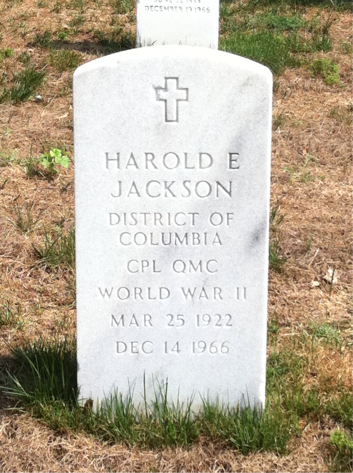Harold B Jackson