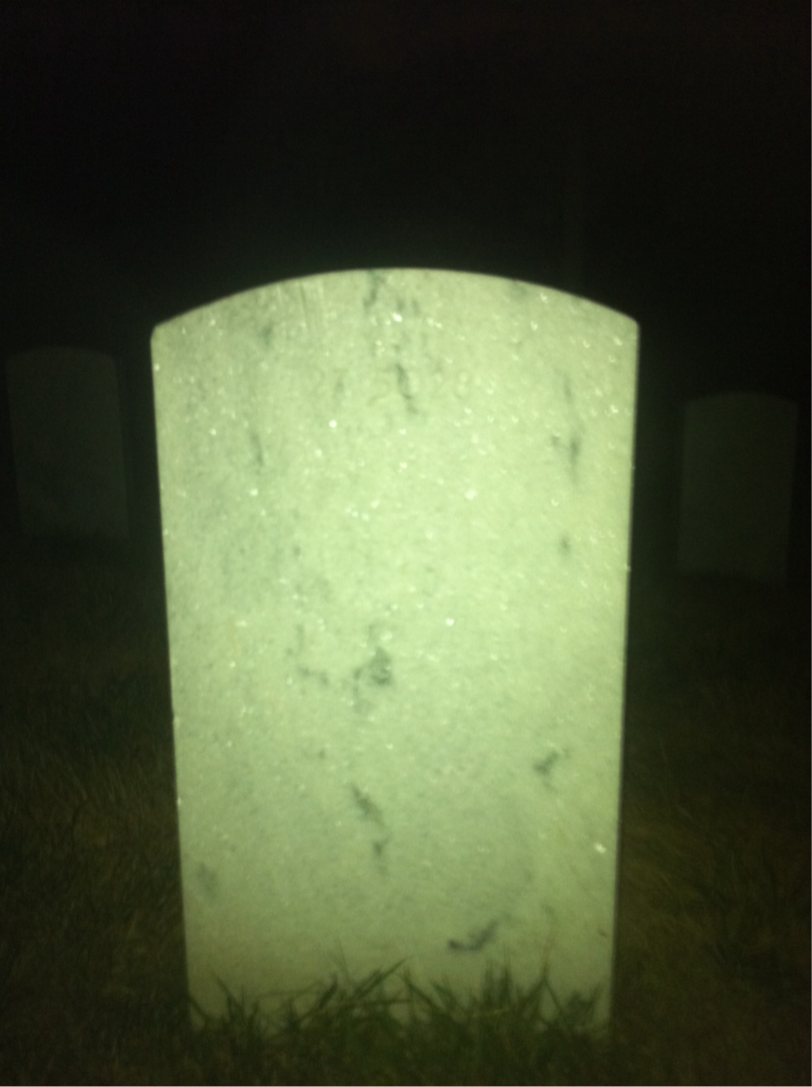 Back of headstone — Custer Blair
