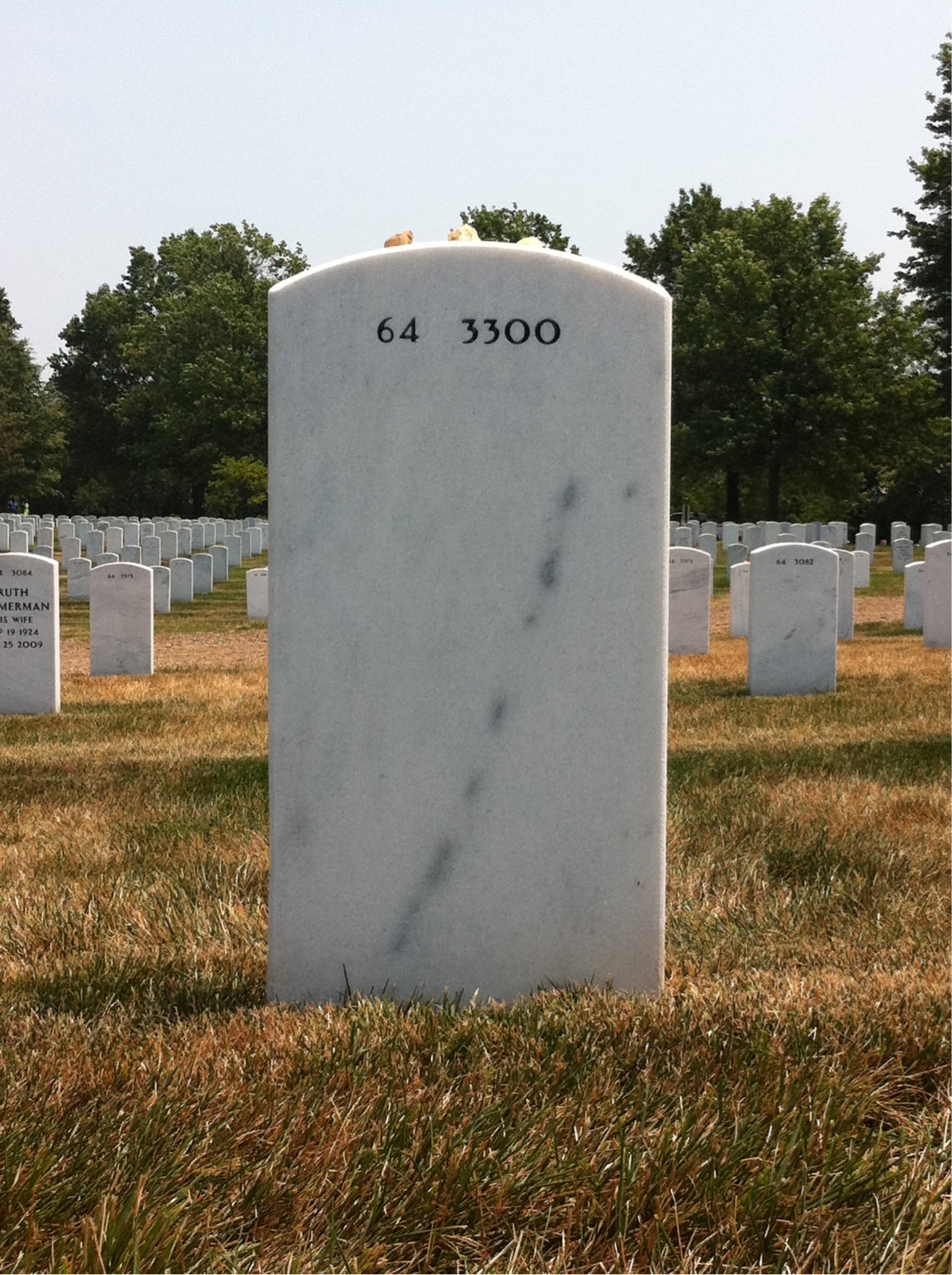 Back of headstone — William Carino