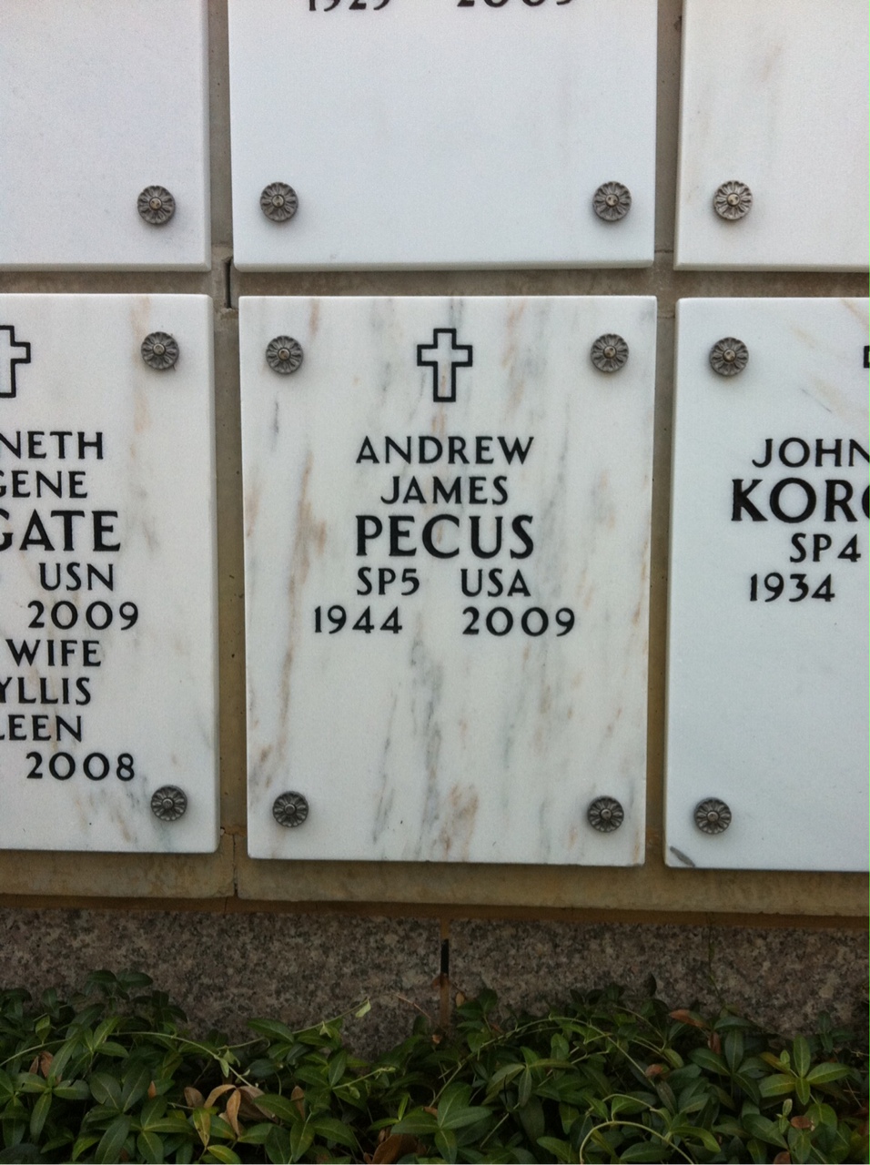Andrew Pecus