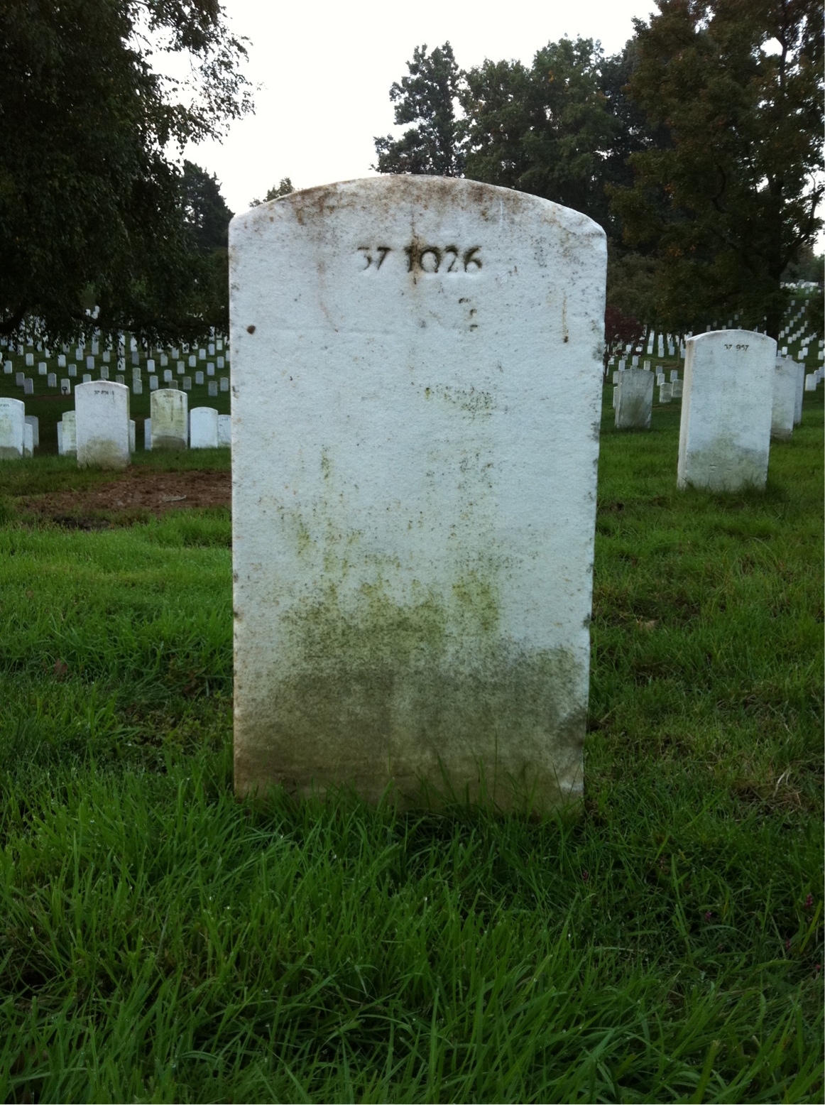 Back of headstone — Harold Brace
