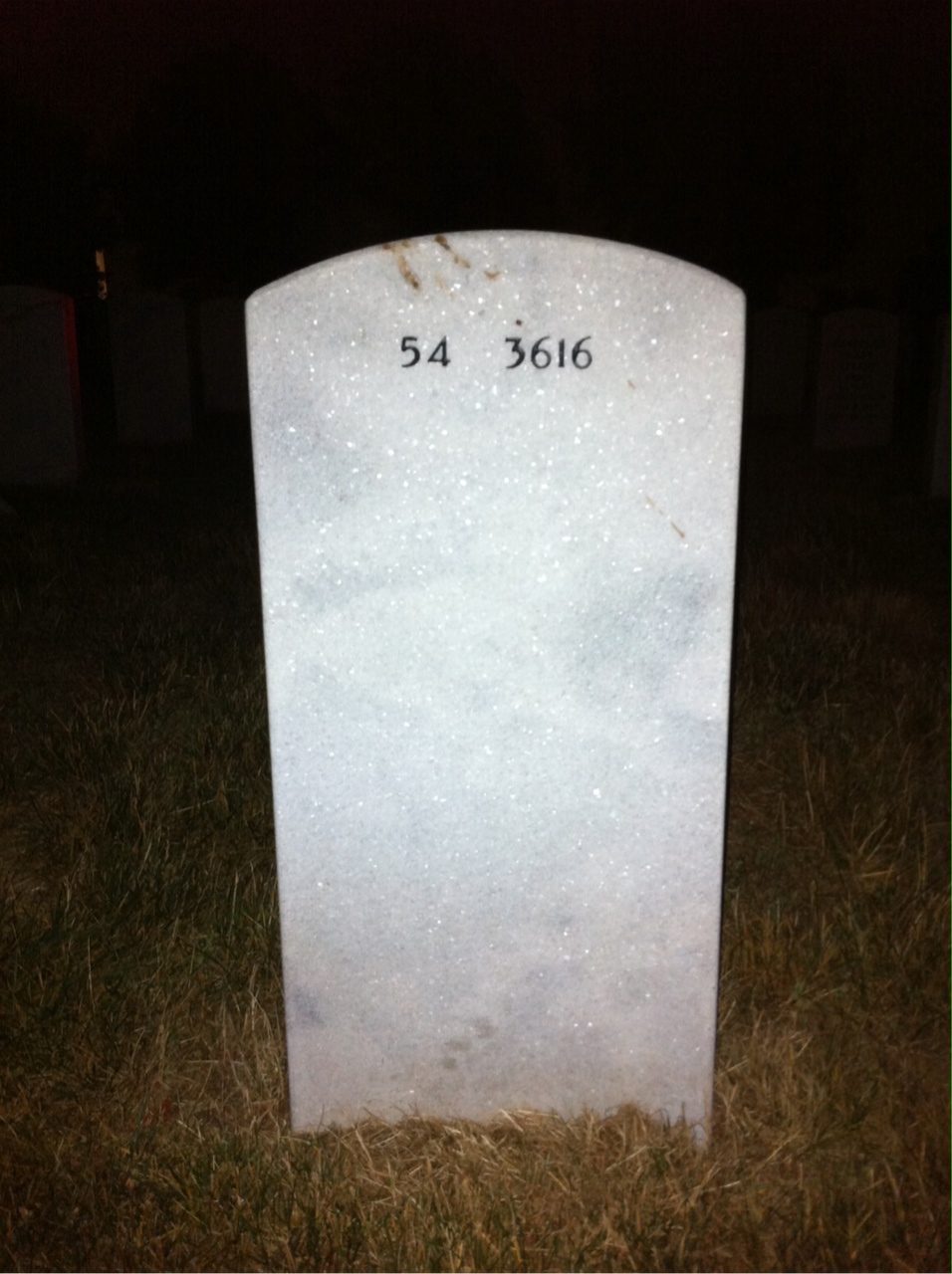 Back of headstone — Anthony Mcginley