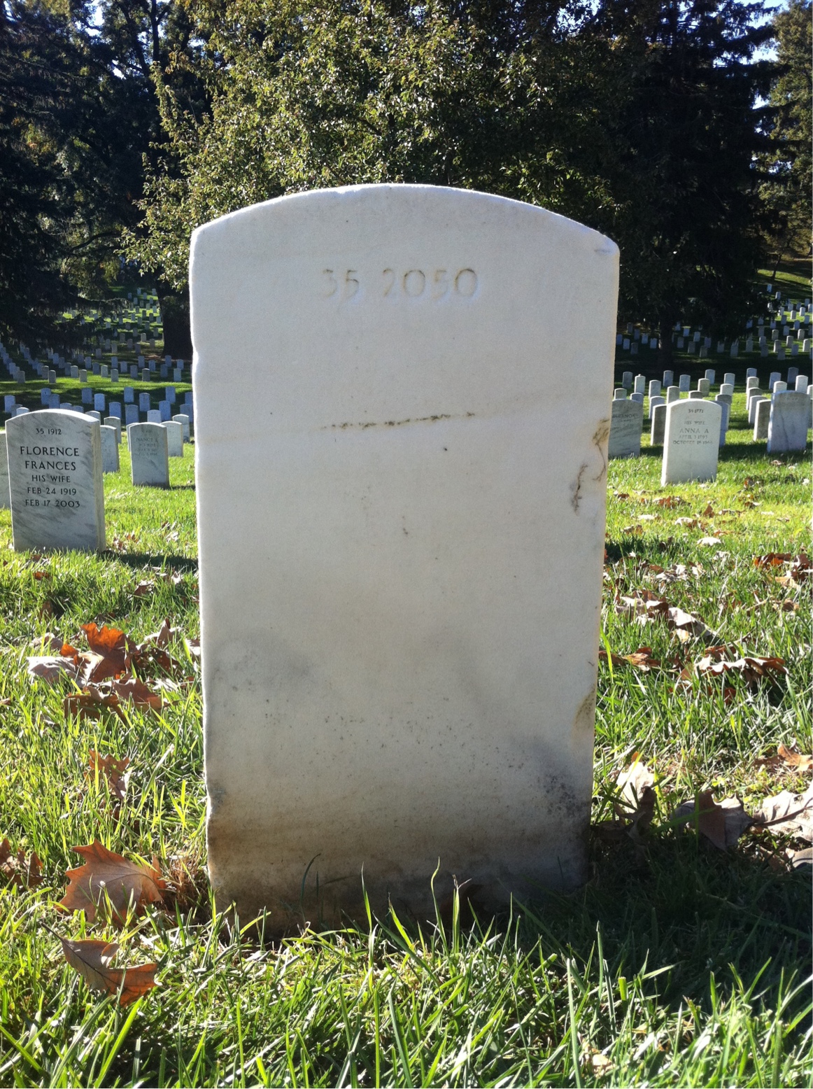 Back of headstone — Clyde Alexander