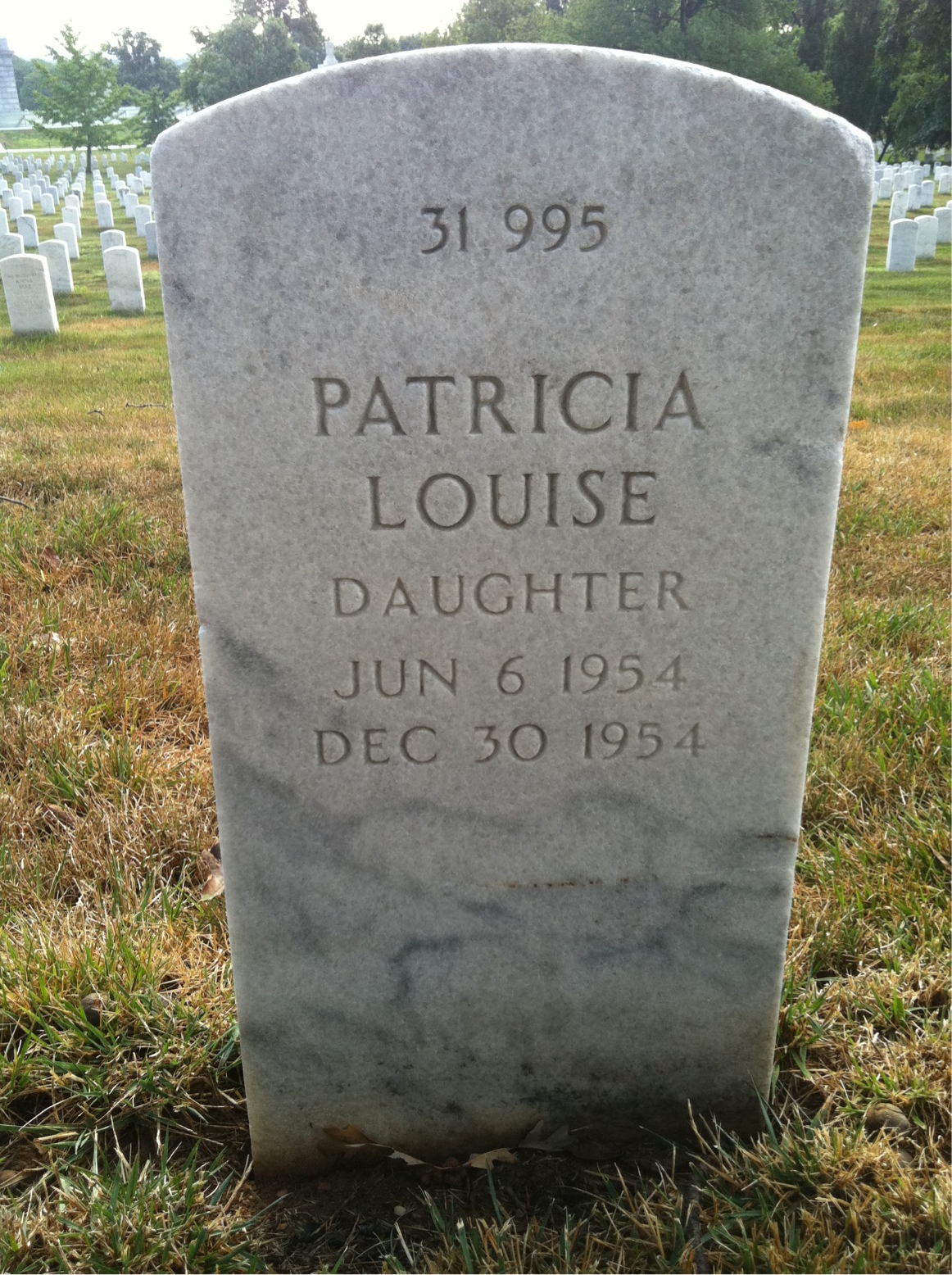 Back of headstone — William J Mccormick