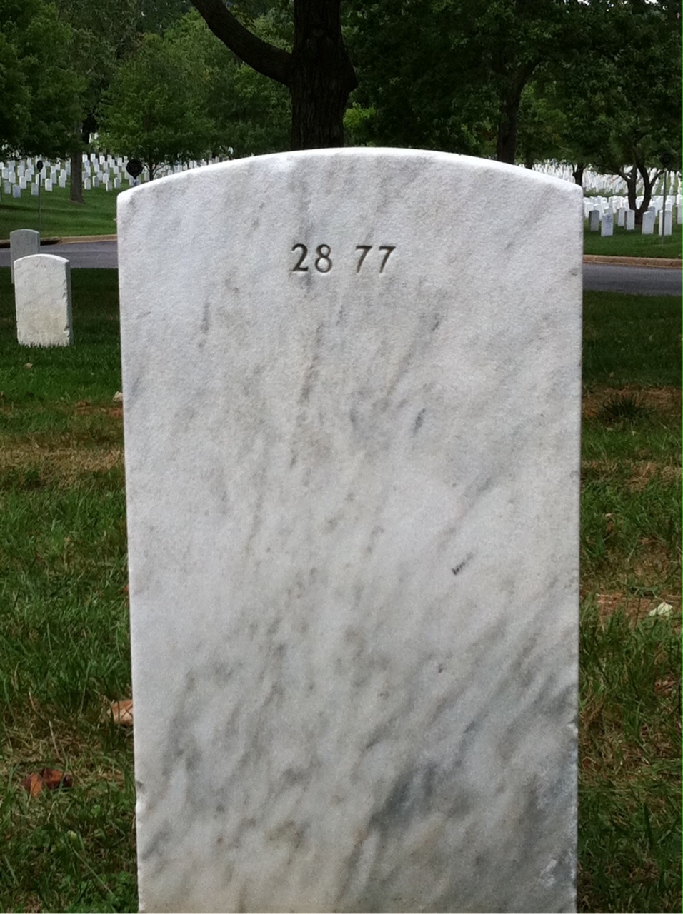 Back of headstone — William J Thomas