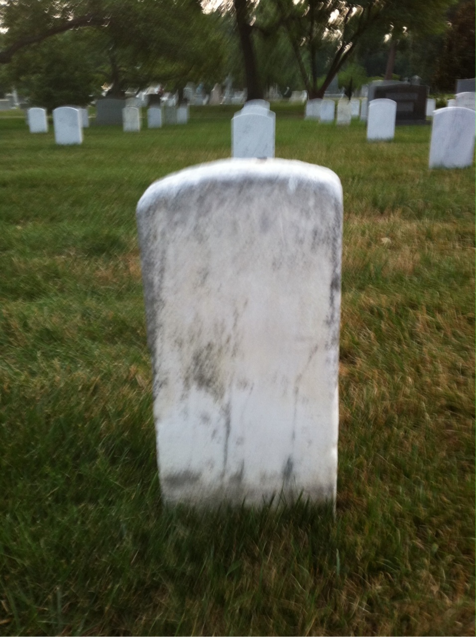 Back of headstone — David Bailey