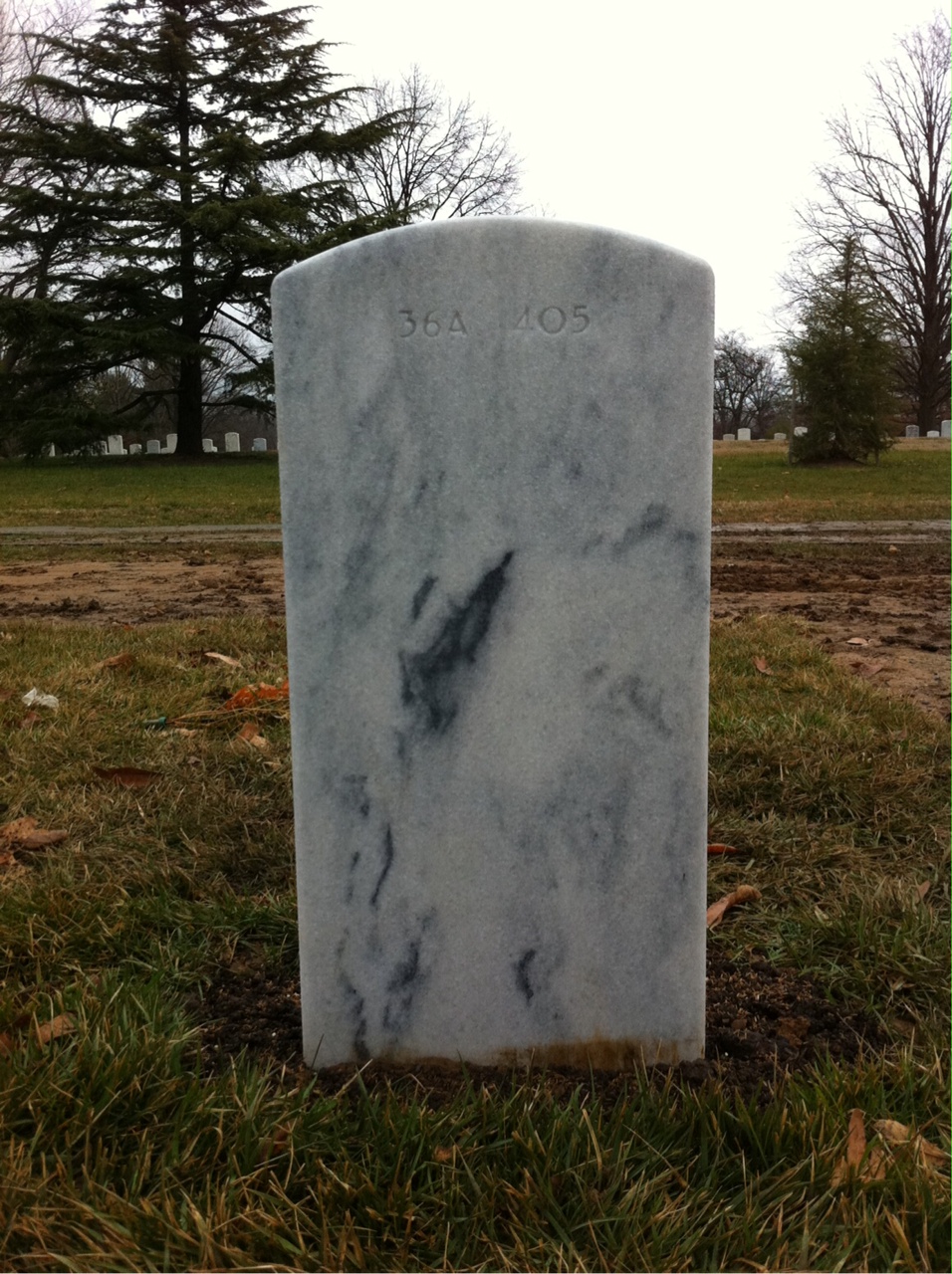 Back of headstone — James Emmons
