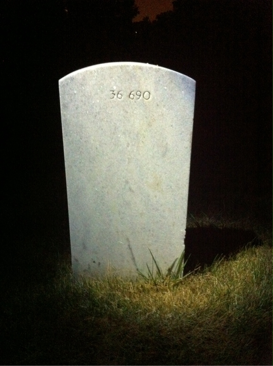 Back of headstone — William C Singletary