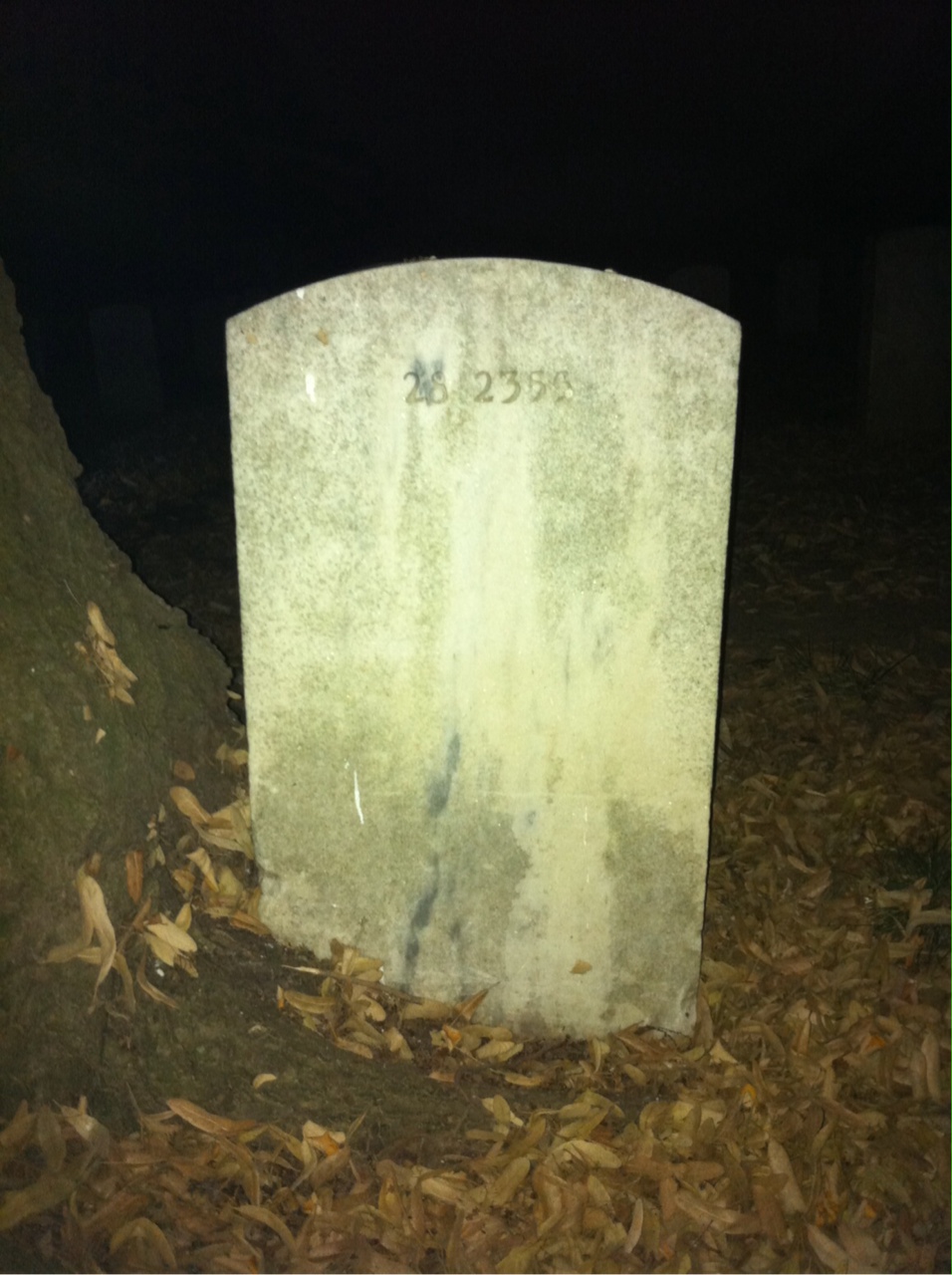 Headstone of Leon Terry