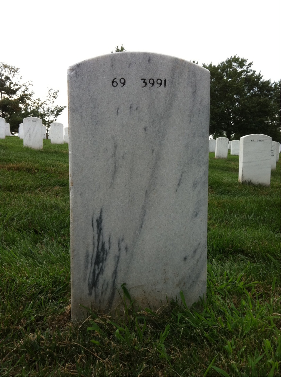 Back of headstone — Irving Mate