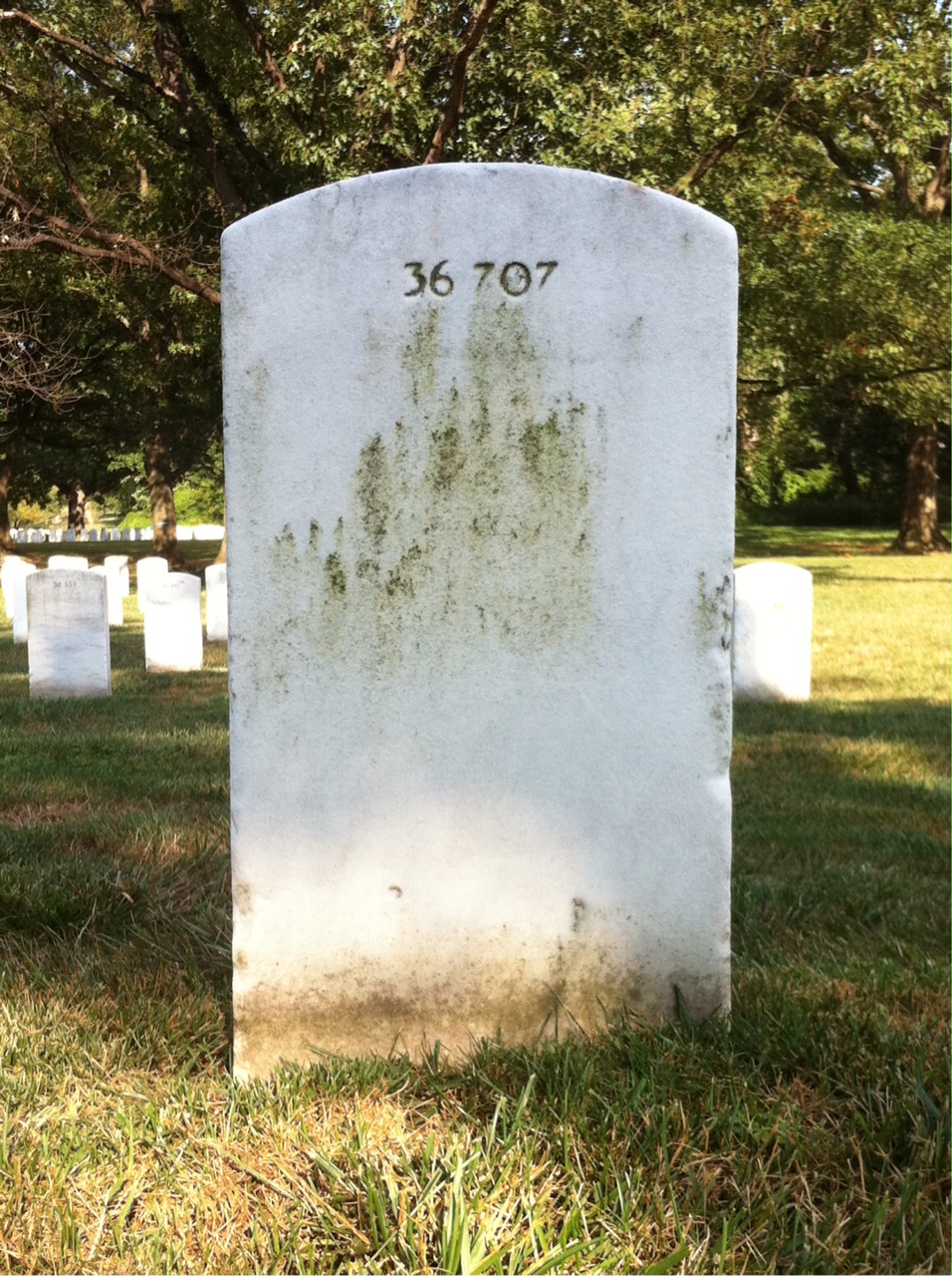 Back of headstone — Jasper Armstrong