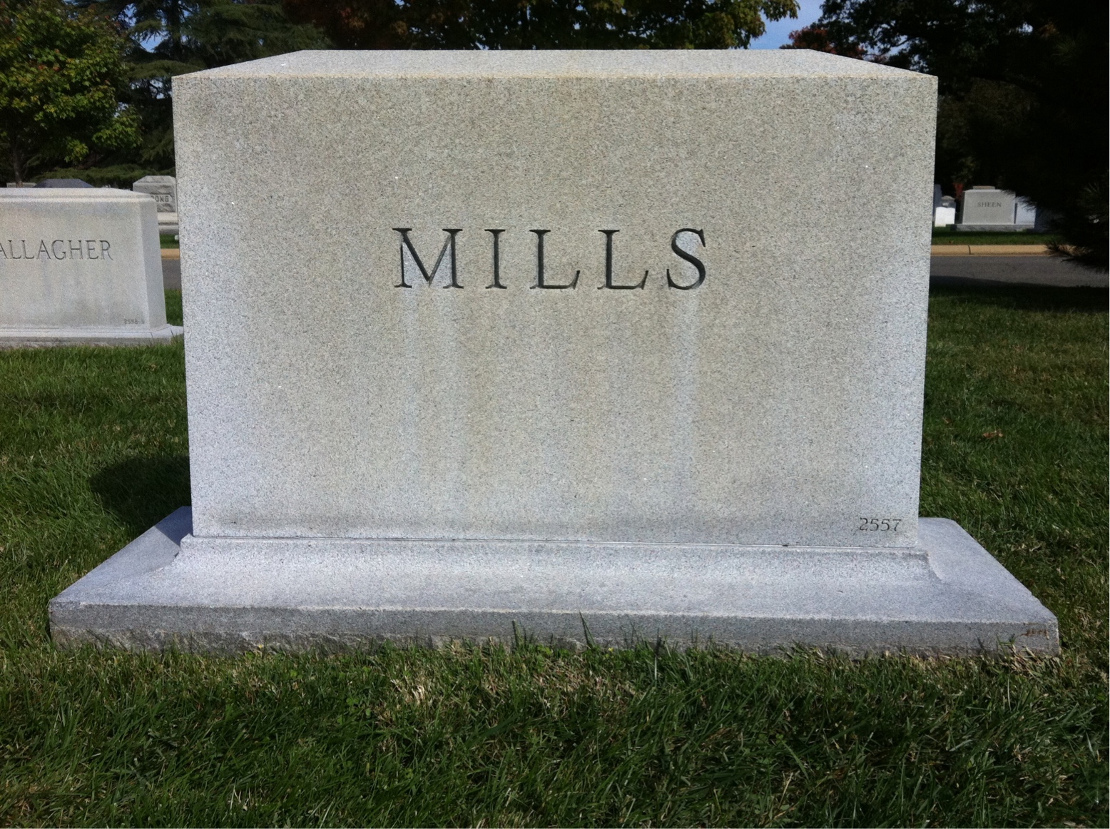 Back of headstone — Anne Mills